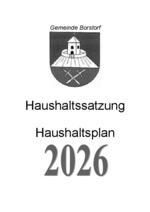 Haushaltssatzung und -plan Borstorf 2026